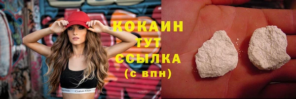 стаф Инсар