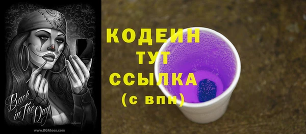 стаф Инсар