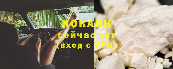 стаф Инсар