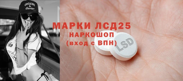 стаф Инсар