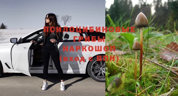 MESCALINE Иннополис