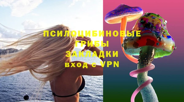 мдма Инта