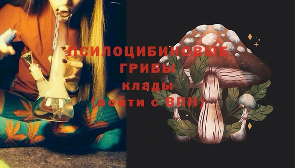 мдма Инта