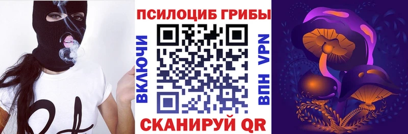Псилоцибиновые грибы GOLDEN TEACHER  Купить где  Высоковск 